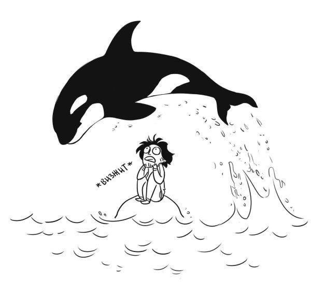Adorable killer whale coloring book for kids