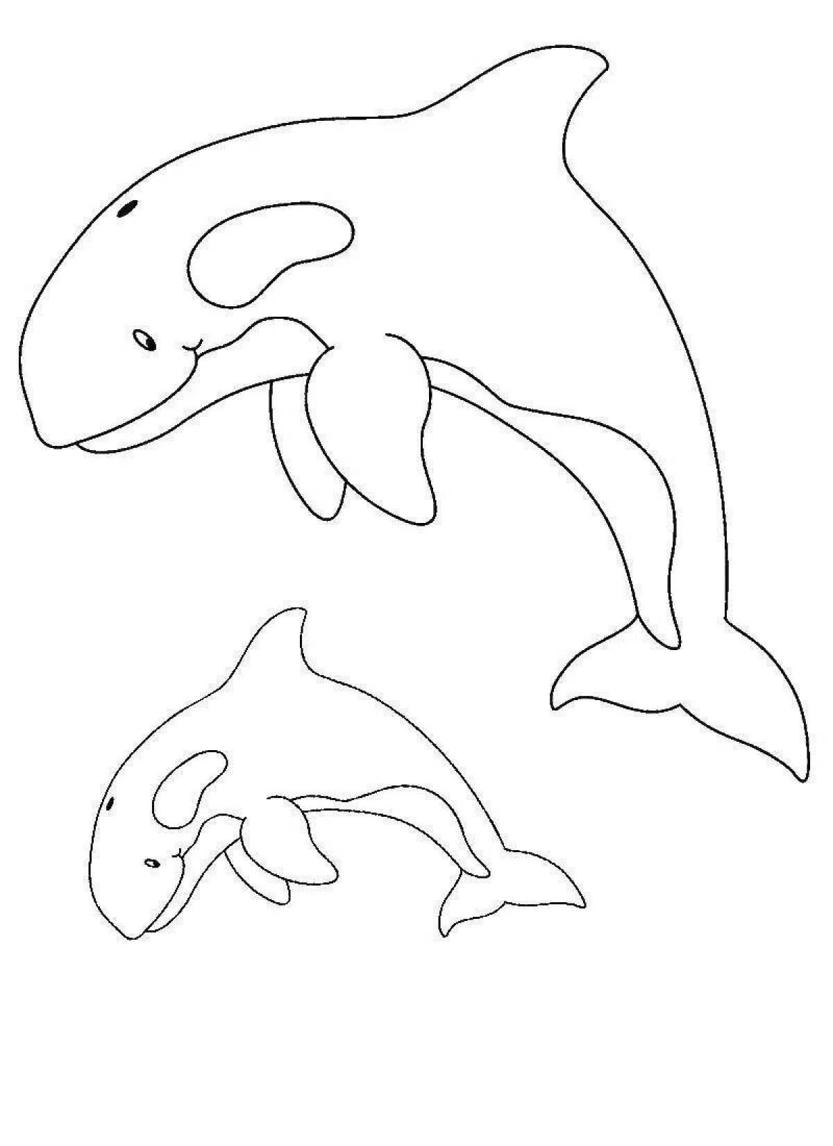 Luminous killer whale coloring book for kids