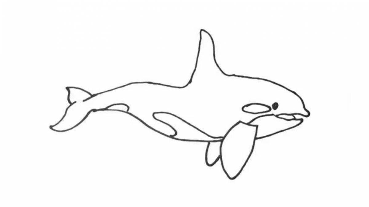 Glorious killer whale coloring book for kids