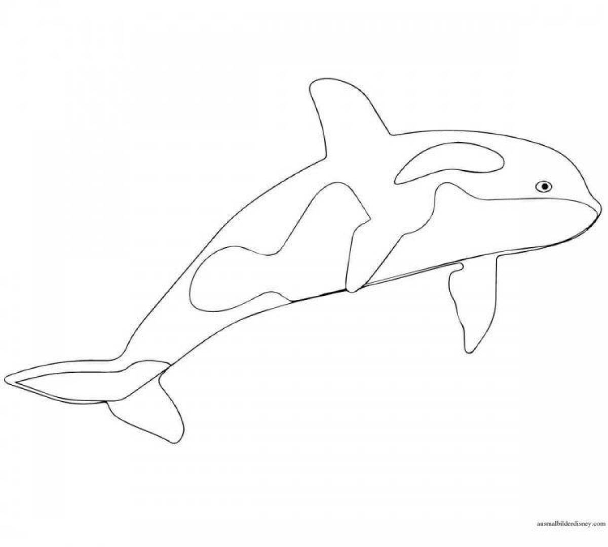 Great orca coloring book for kids