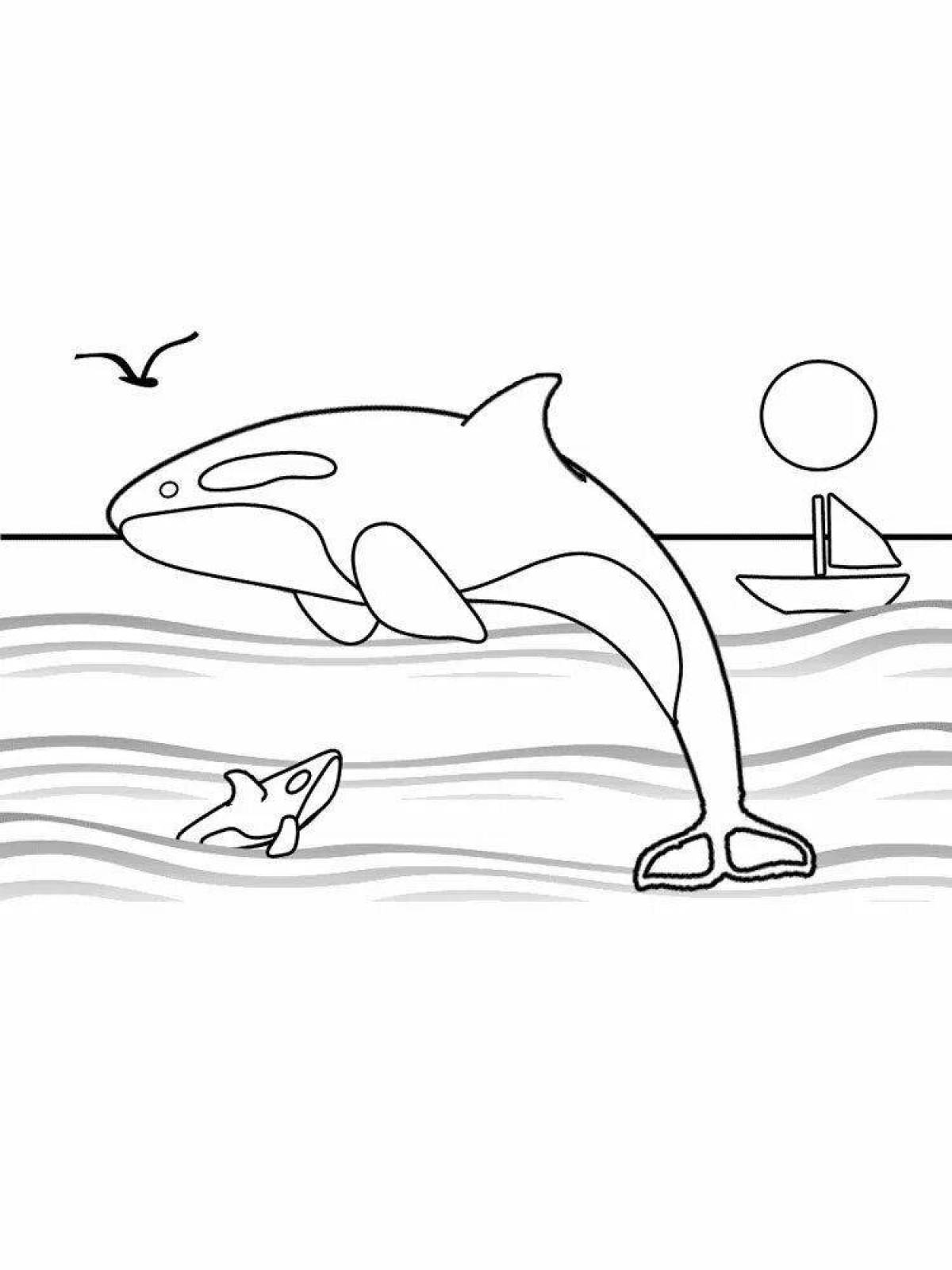 Раскраска radiant killer whale для детей