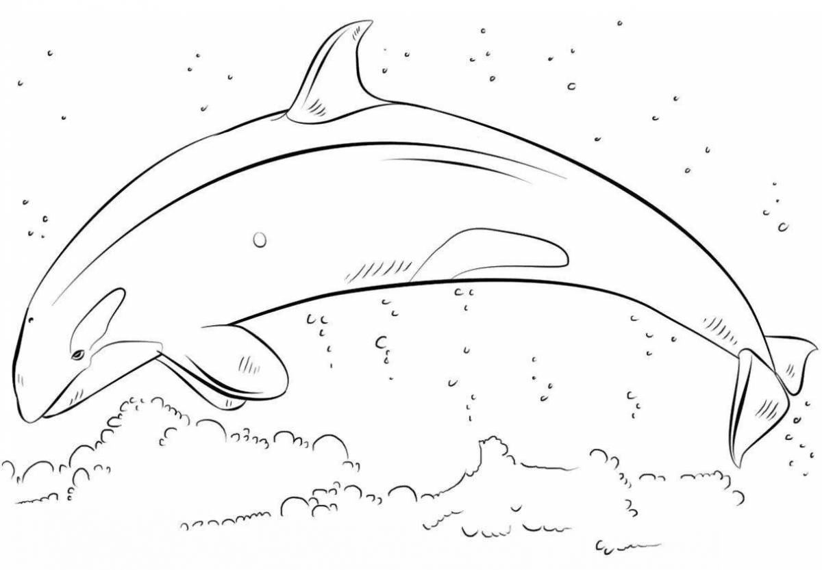 Inspirational killer whale coloring book for kids
