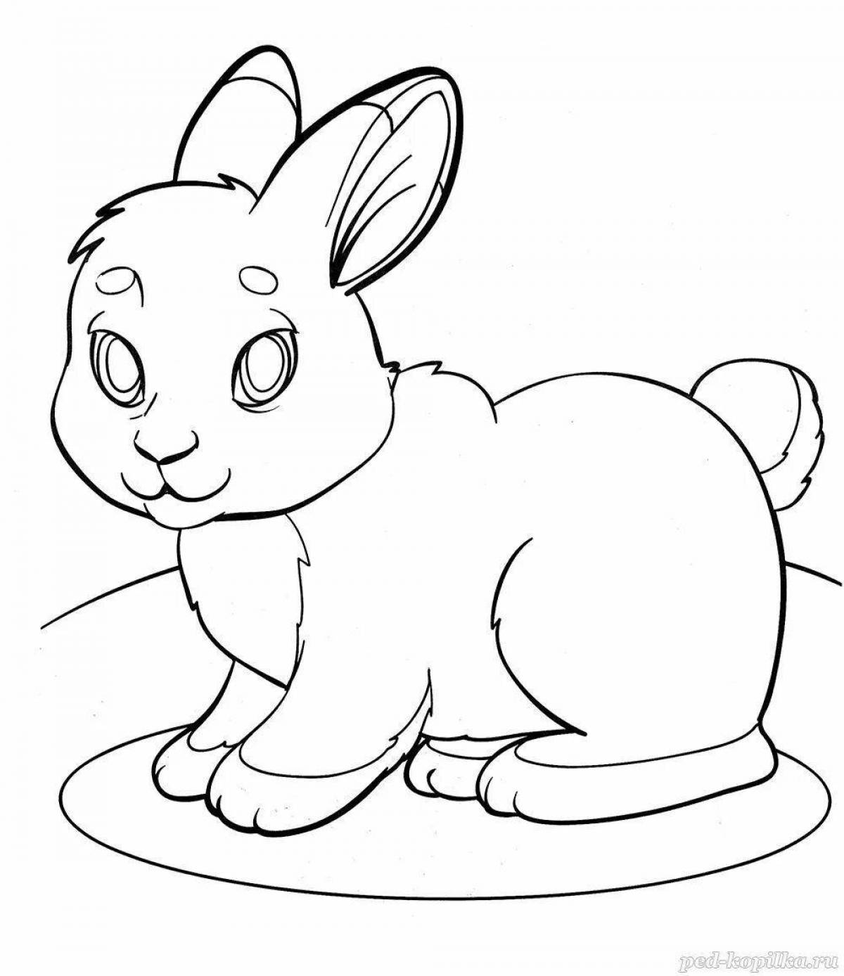Adorable rabbit coloring book for 6-7 year olds