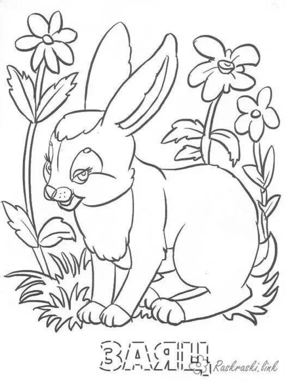 Adorable wild animal coloring book for 5-6 year olds