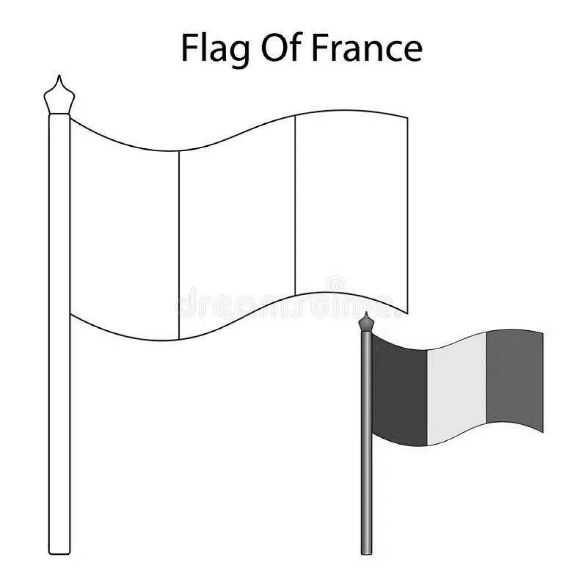 Флаг франции #4