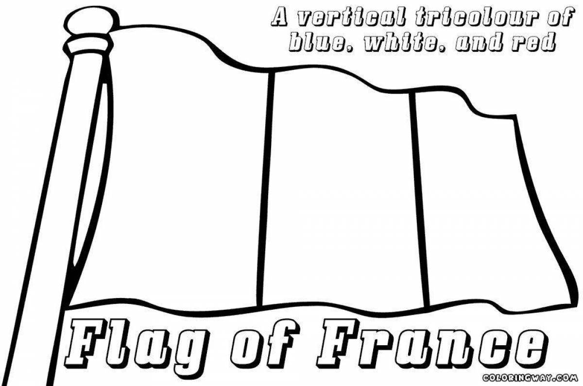 Флаг франции #6