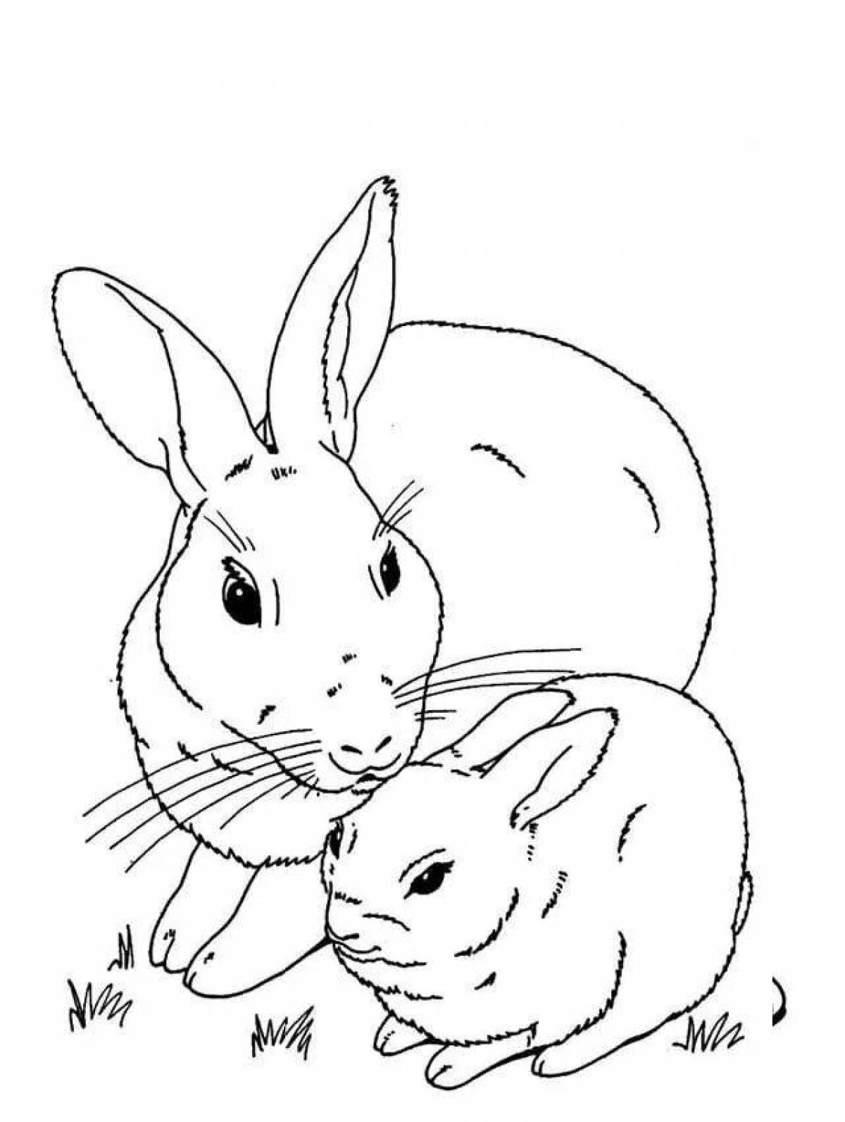 Playful rabbit coloring book