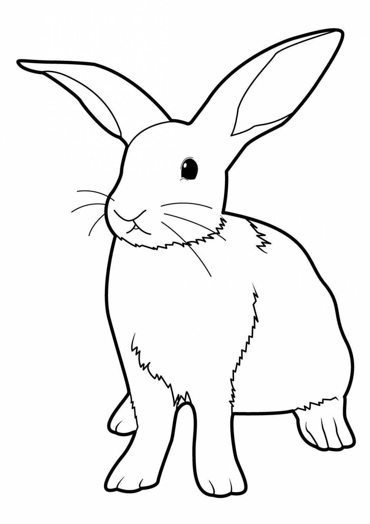 Inviting bunny coloring book