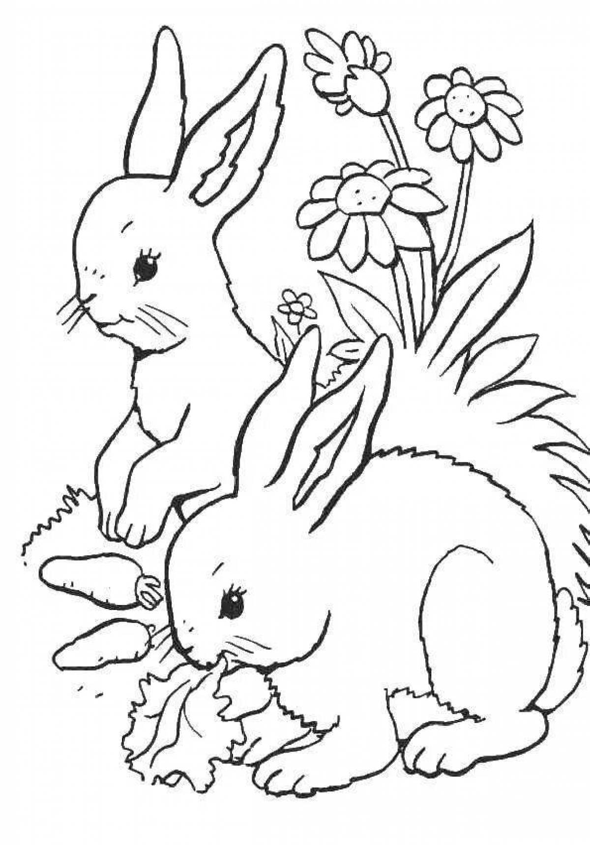 Inspiring rabbit coloring book