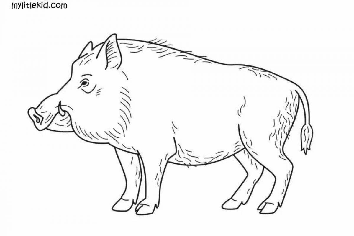 Coloring cute boar for kids