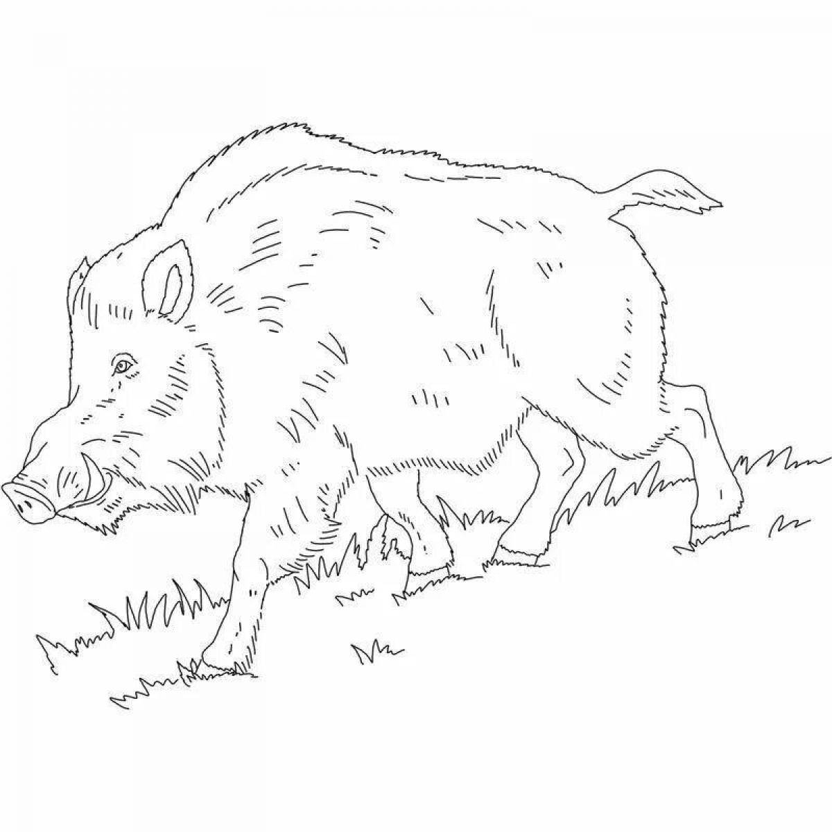 Outstanding boar coloring page for kids