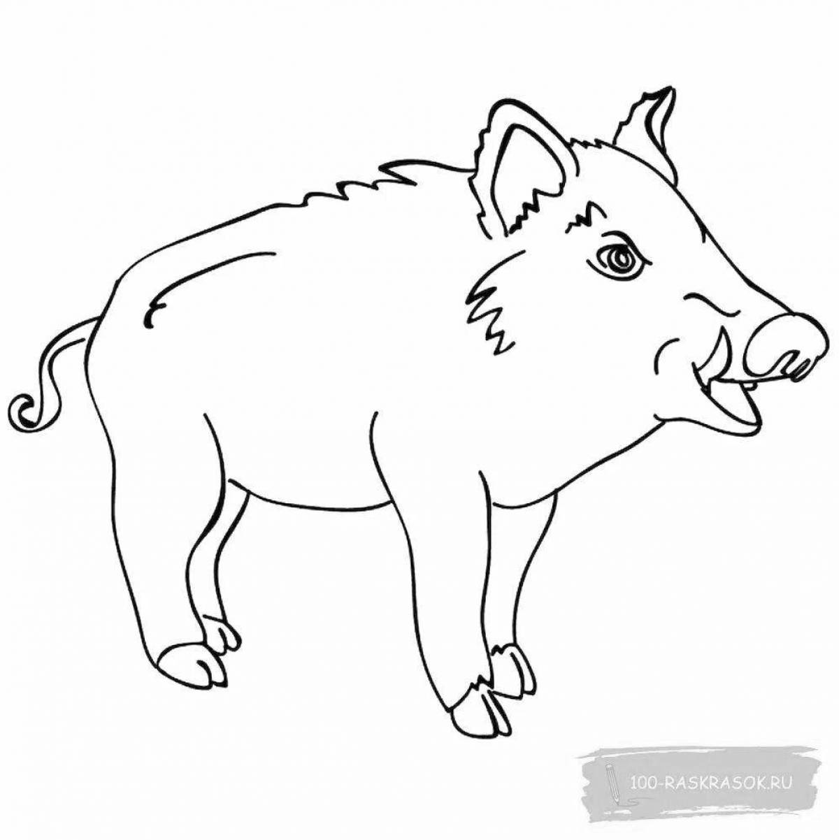 Attractive boar coloring pages for kids