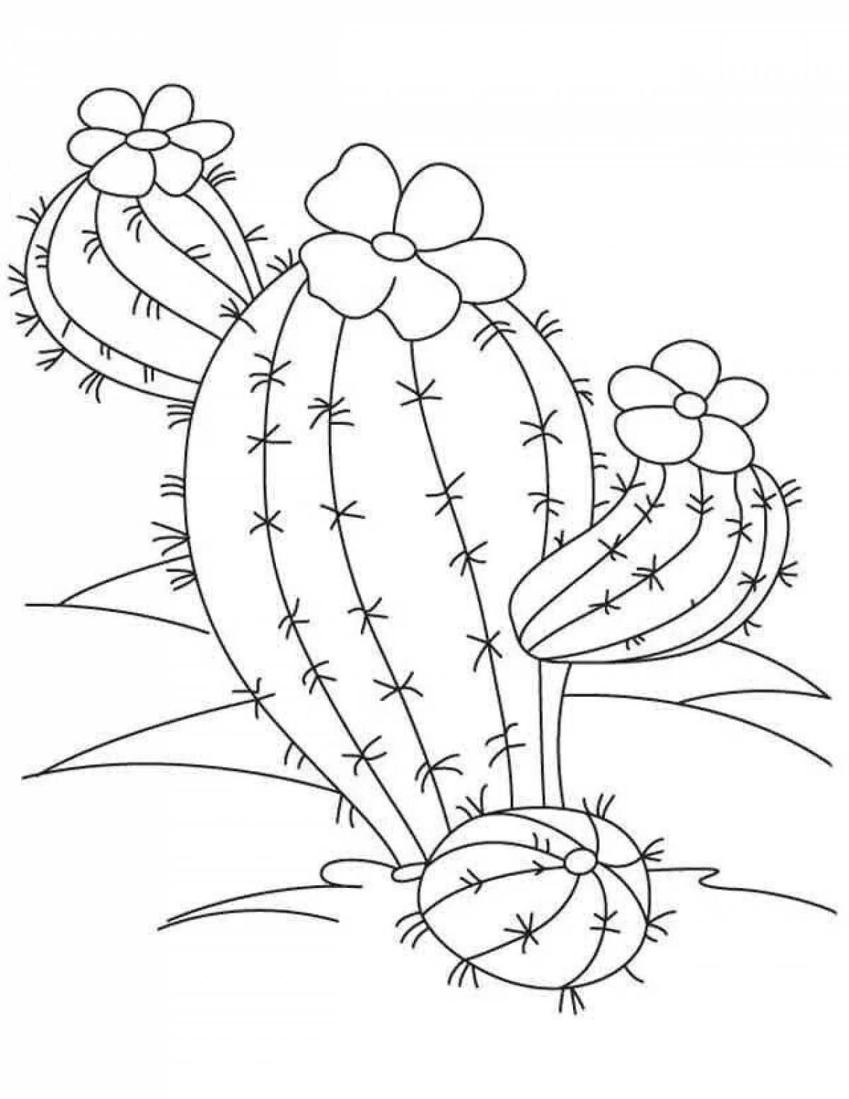 Wonderful cactus coloring book for kids