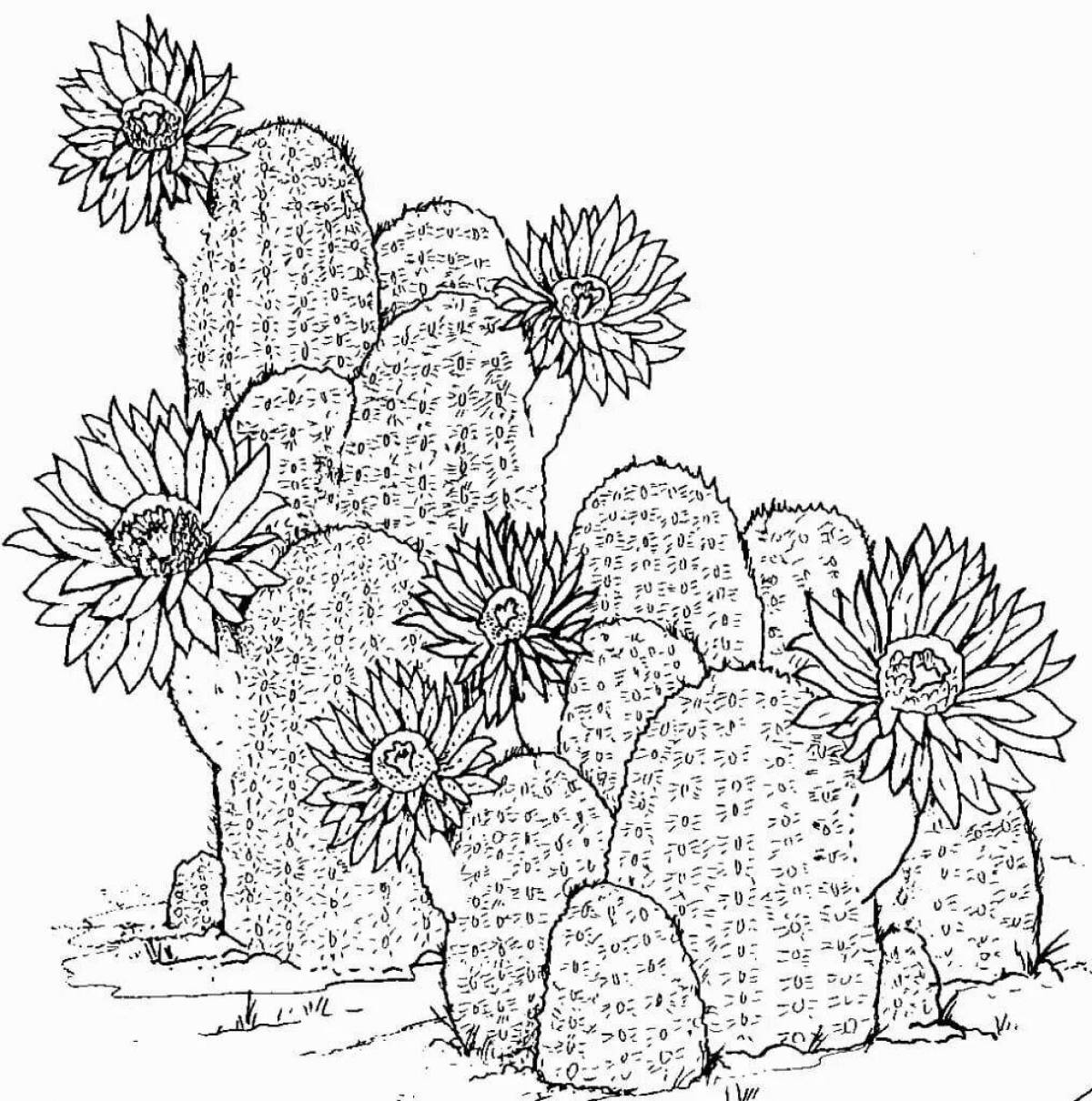 Outstanding cactus coloring page for kids