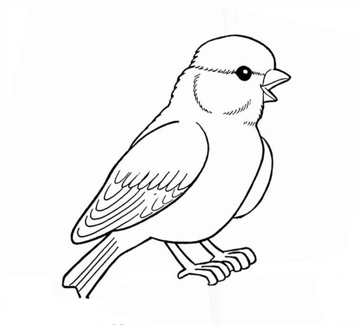 Exotic tit coloring page