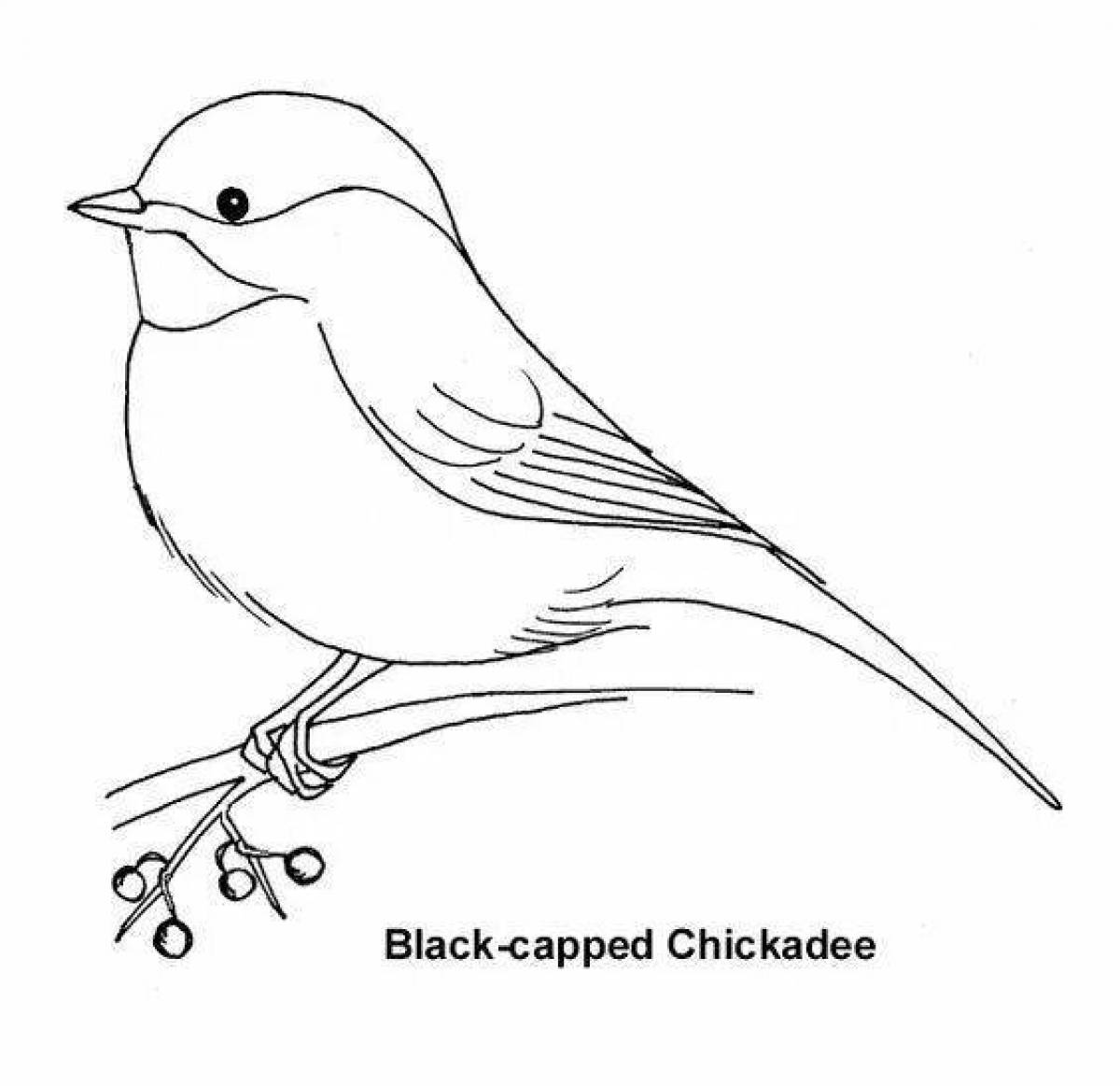 Cute tit coloring page
