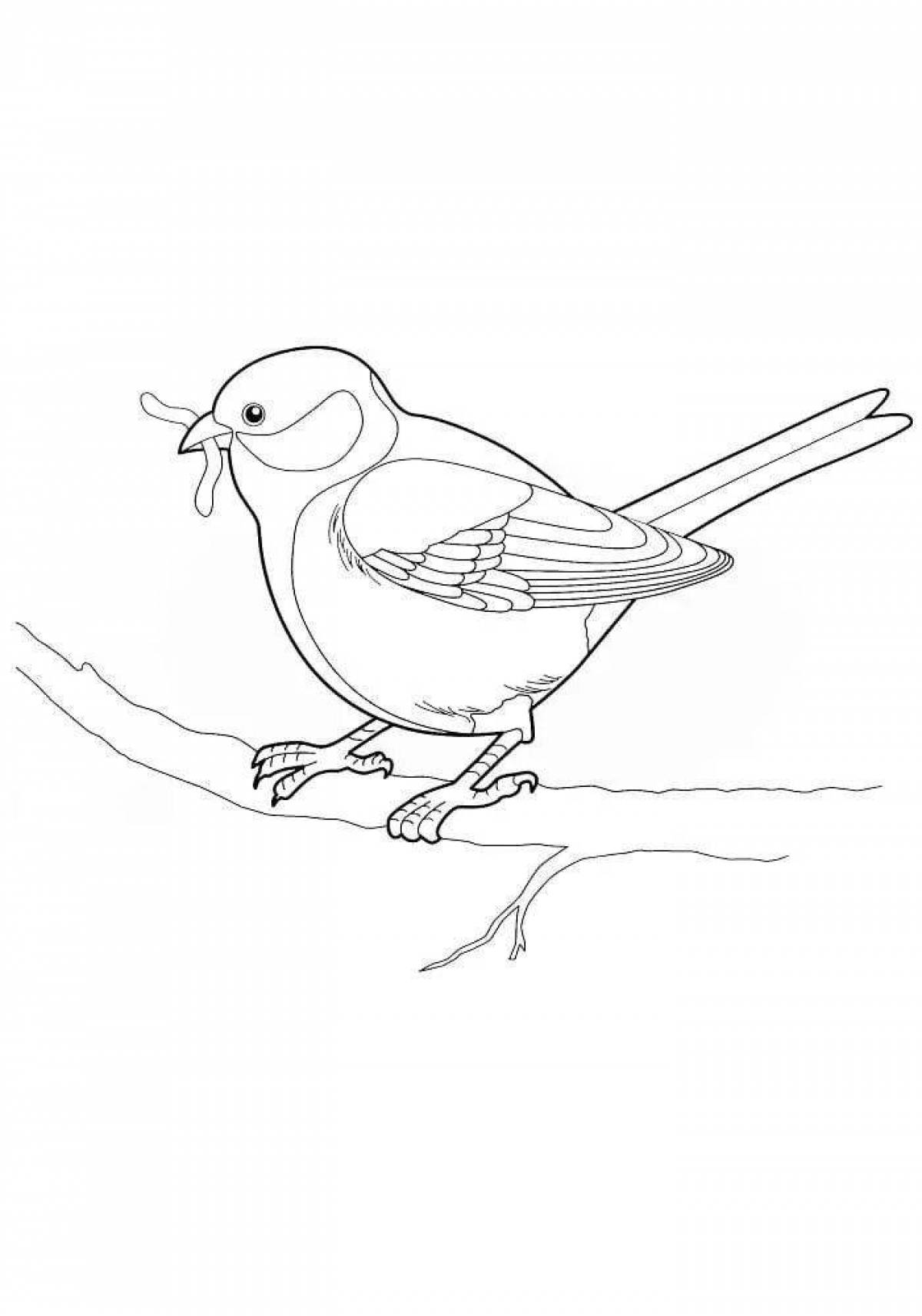 Great tit coloring page