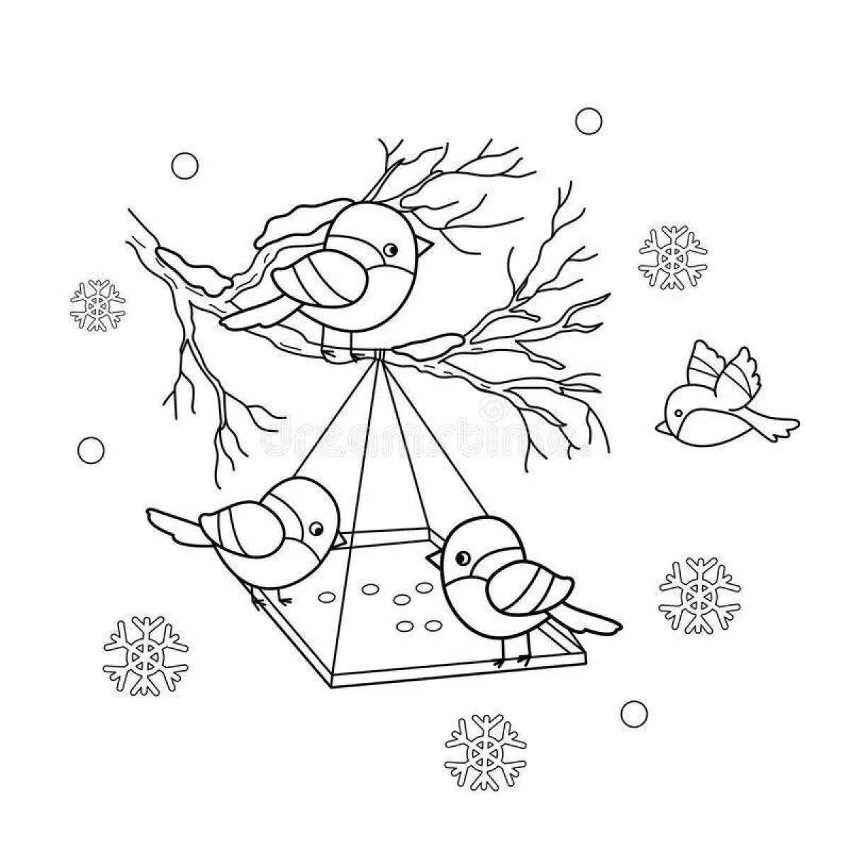 Glorious winter birds coloring pages for children
