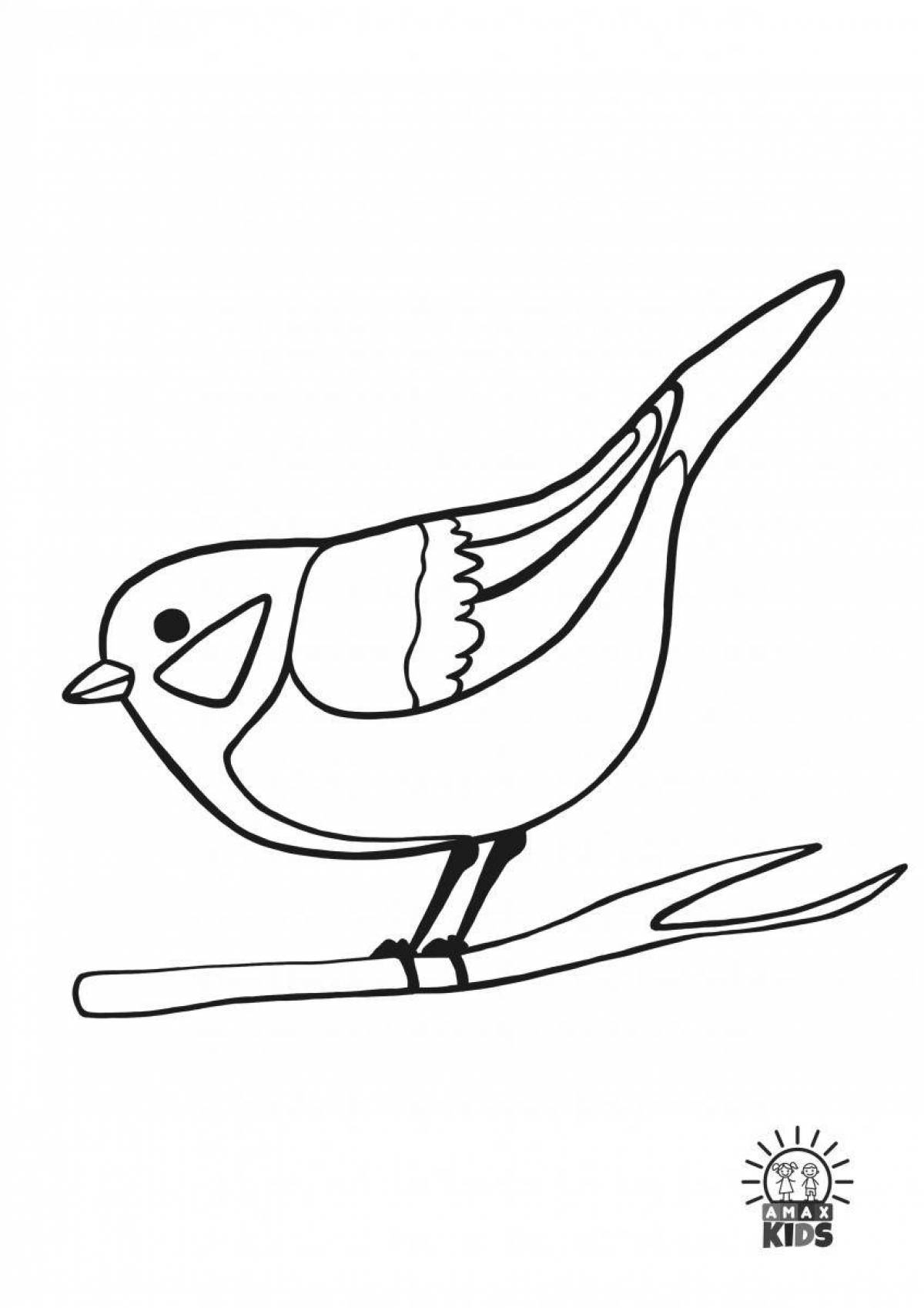 Fabulous winter birds coloring pages for kids