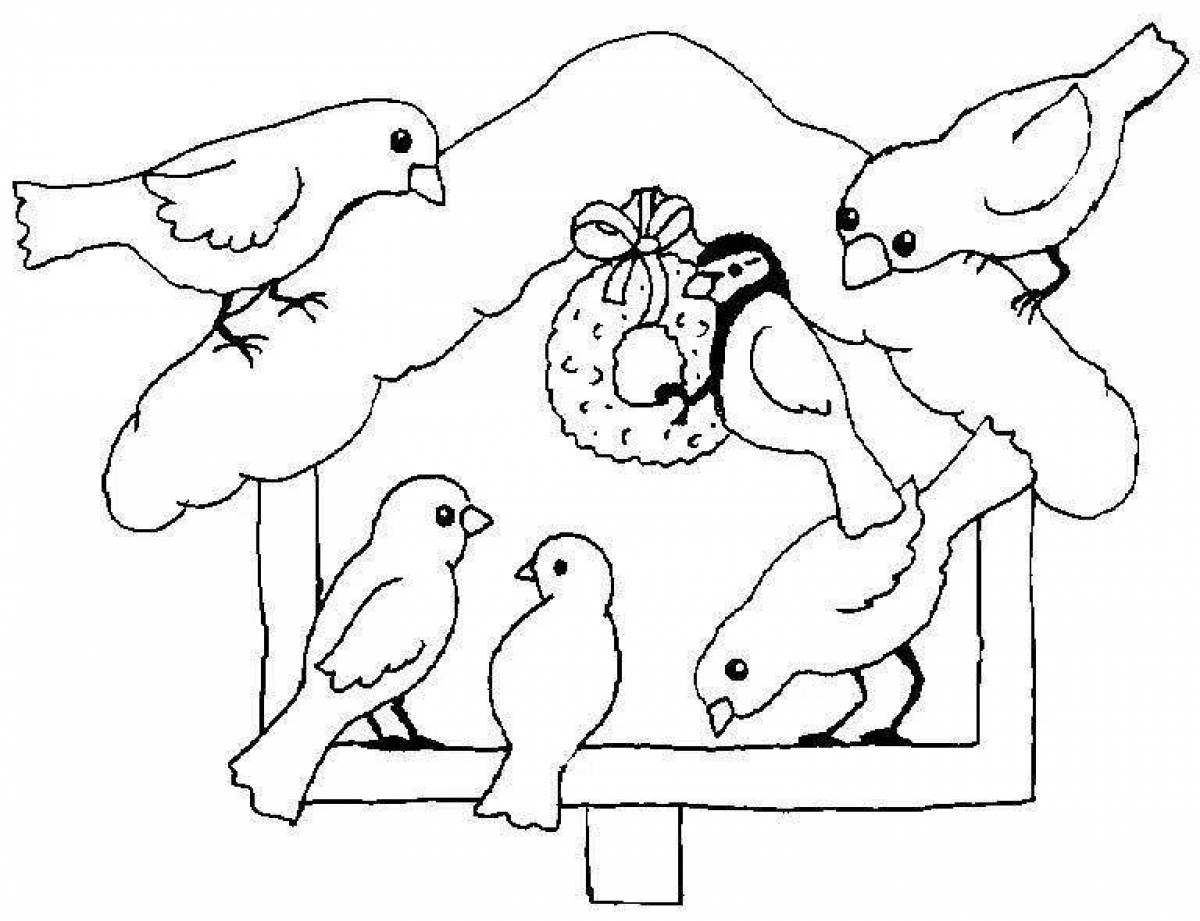 Раскраска кормушка для птиц для детей