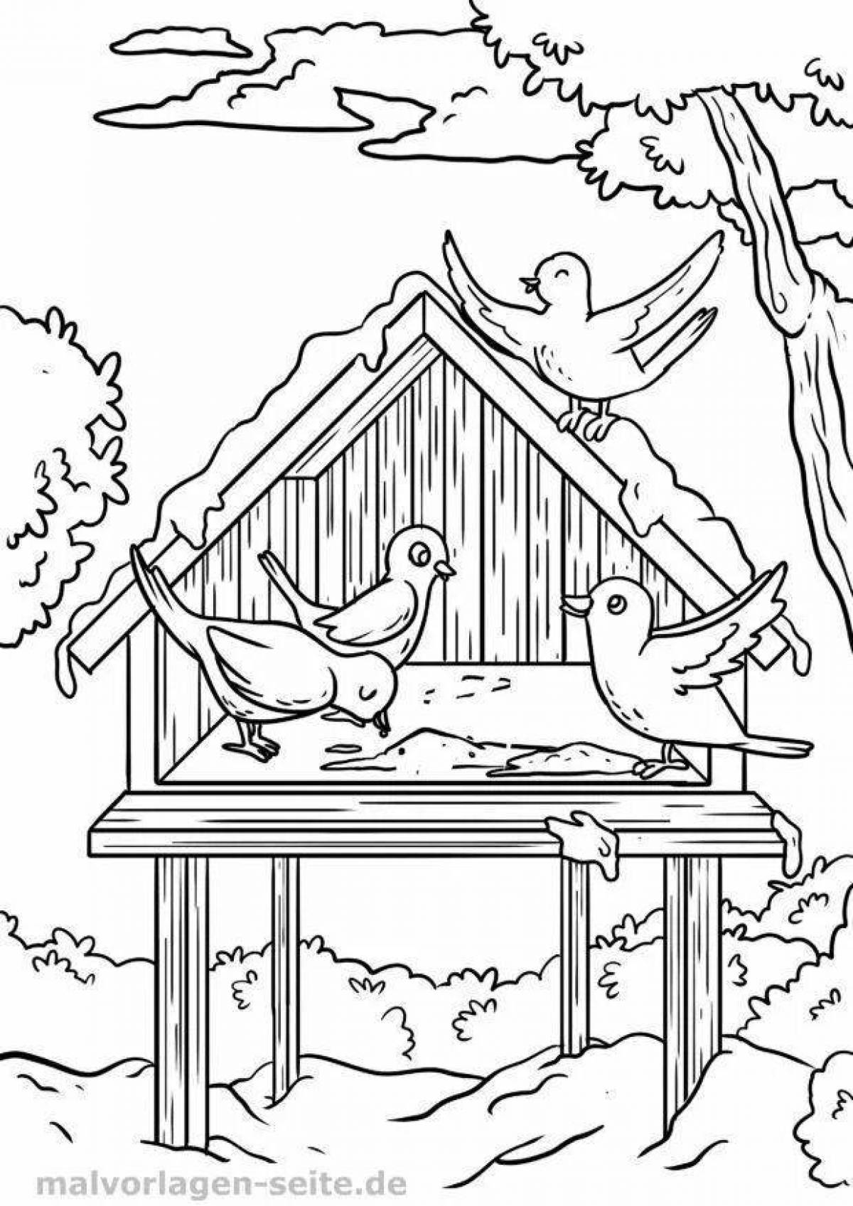 Dazzling winter birds coloring pages for kids