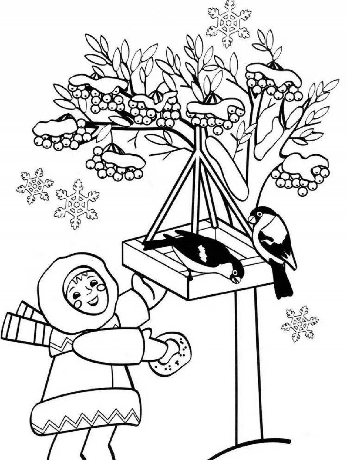 Fine winter birds coloring pages for kids