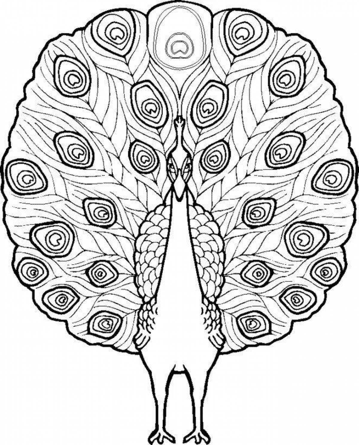 Рисунок павлина с распущенным хвостом