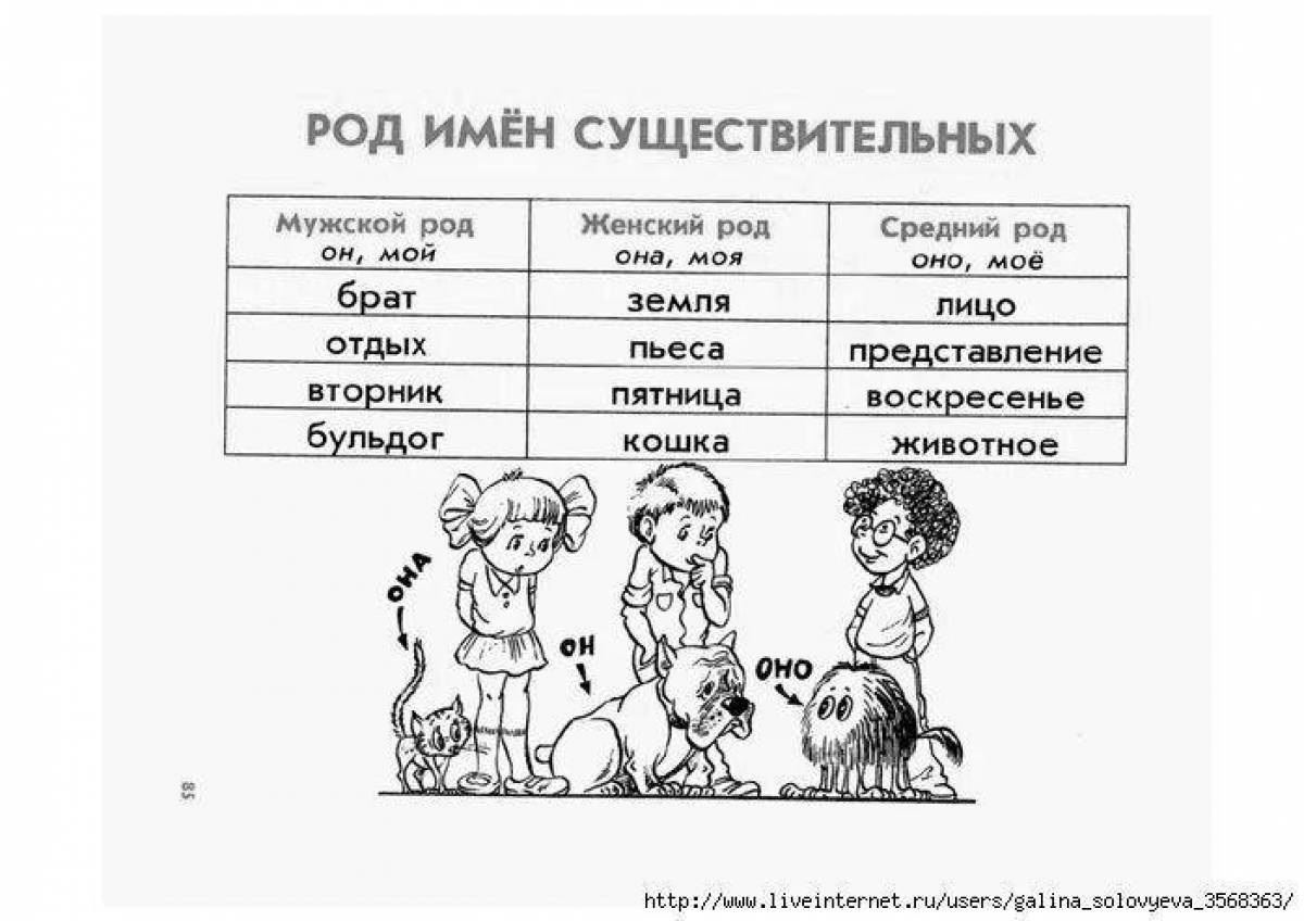 Род существительных в русском языке задание. Родимён существительных. Род имен существительных таблица. Мужской средний женский род имен существительных. Женский род имен существительных.