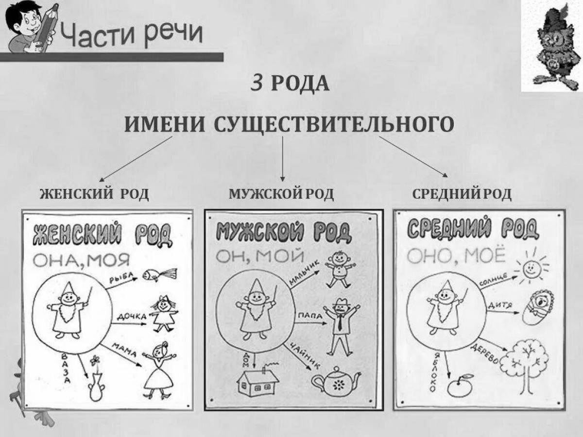 Раскраска <b>Род</b> имен существительных 3 класс #14.