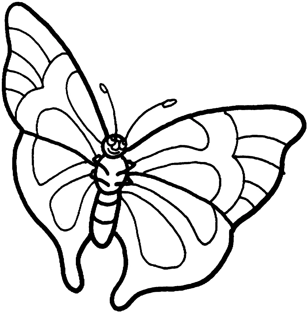 Incredible butterfly coloring book for kids