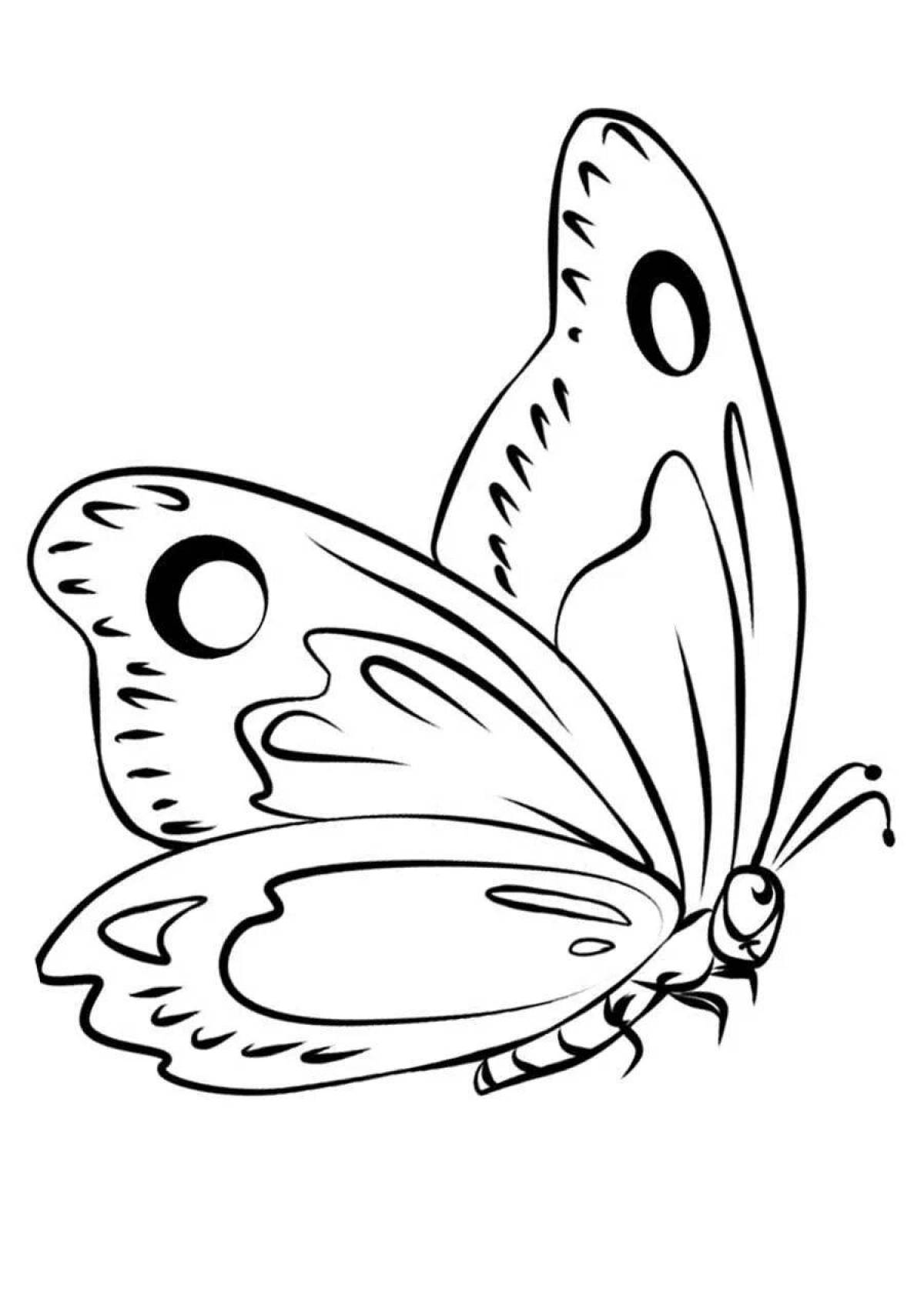Coloring butterfly for kids