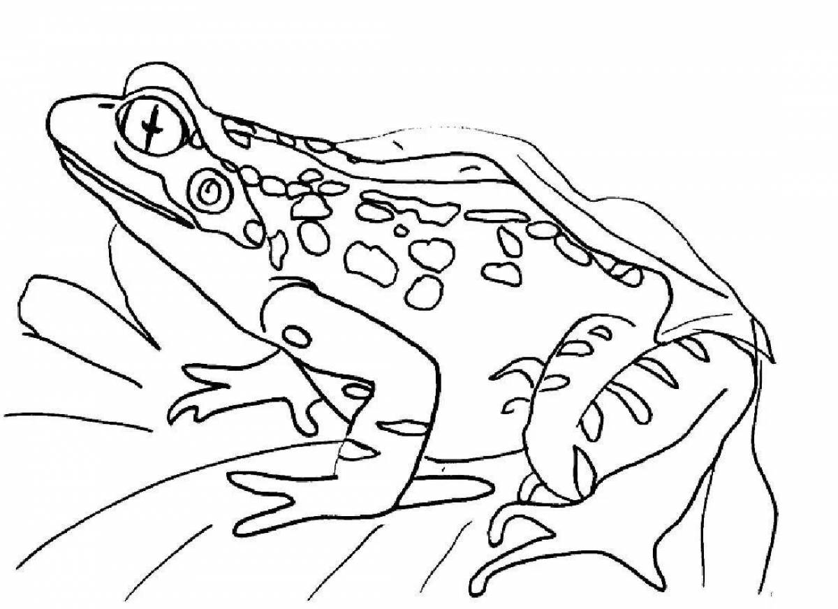 Adorable frog coloring book