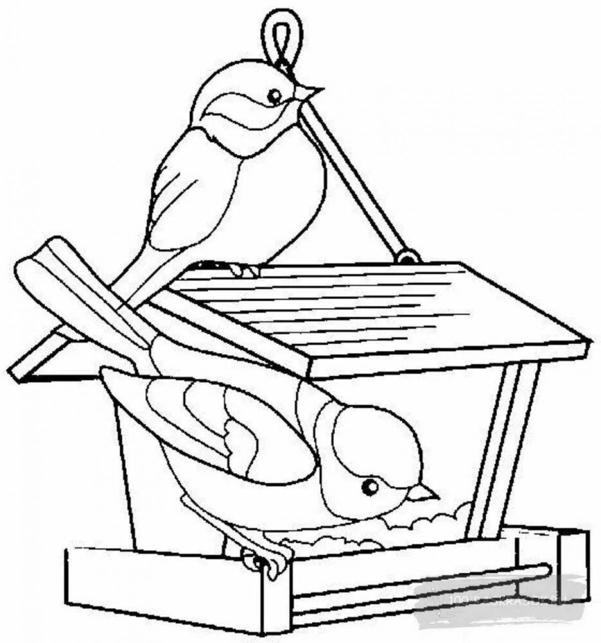 Раскраска яркая кормушка для птиц для детей зимой