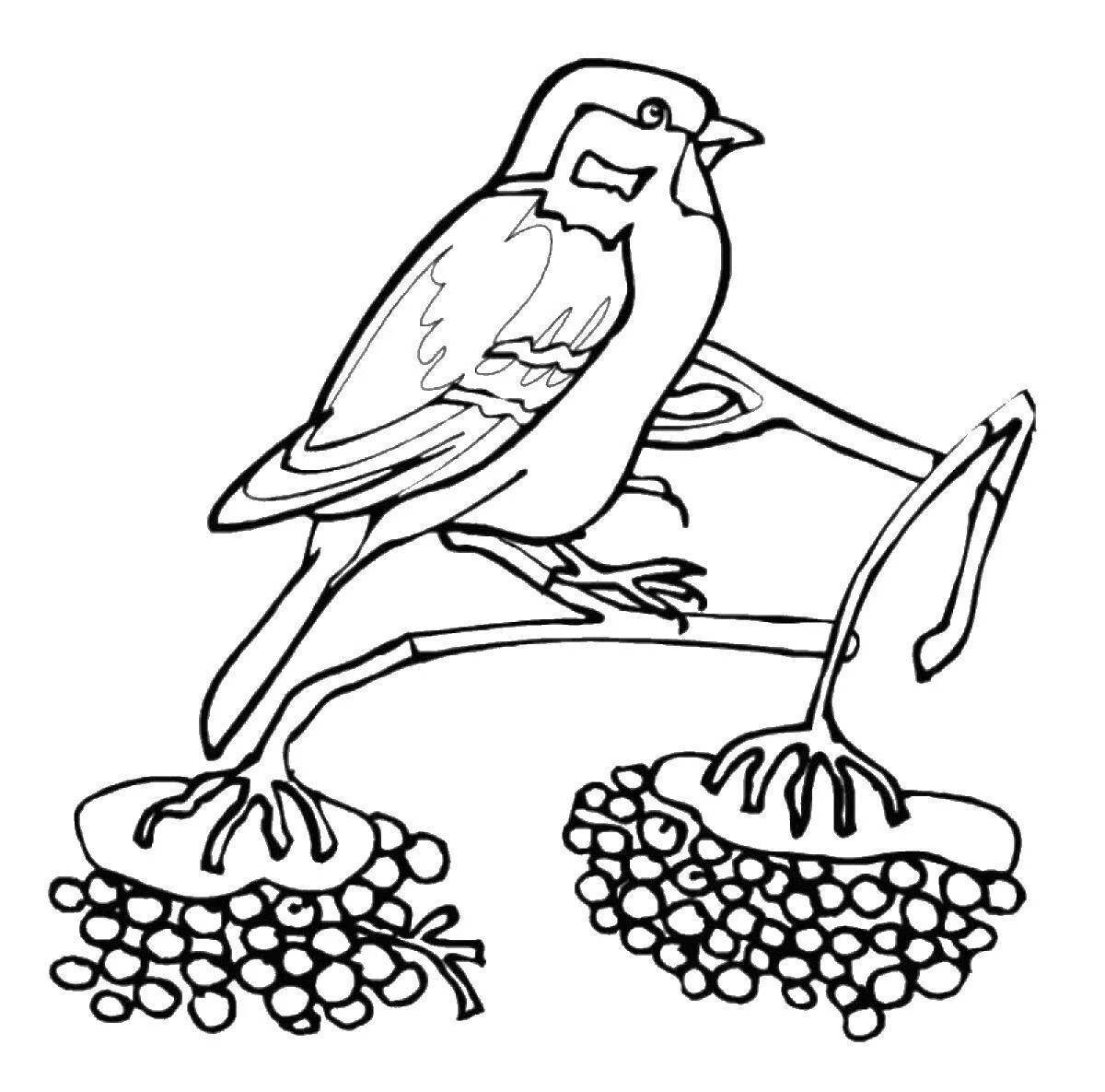Playful bird feeder coloring page for kids in winter