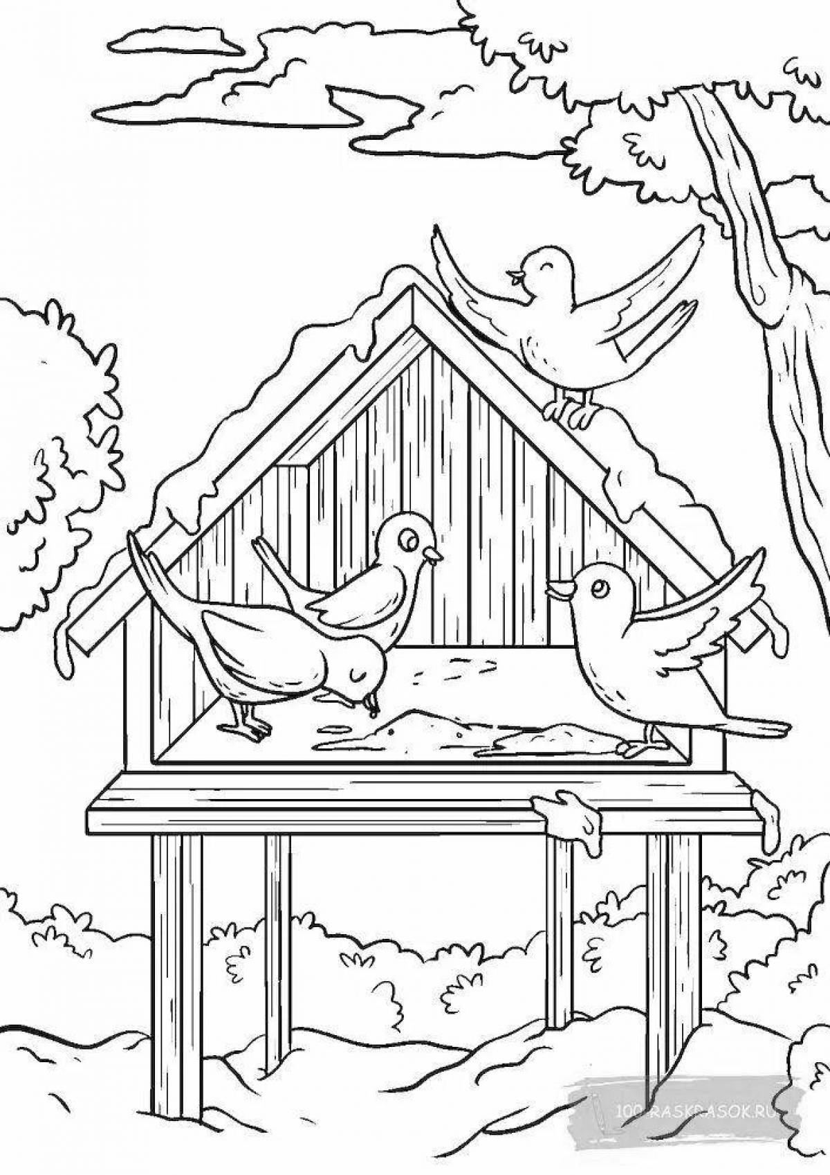 Веселая раскраска «кормушка для птиц» для детей зимой