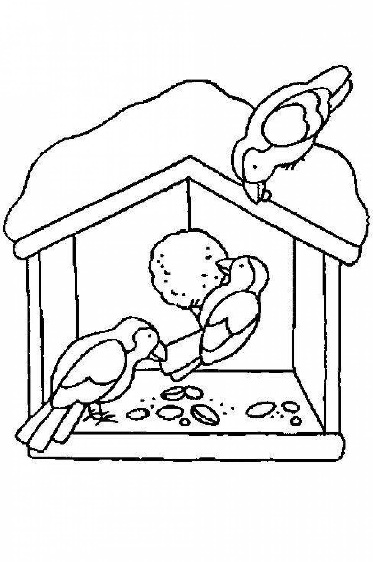 Раскраска «волшебная кормушка для птиц» для детей зимой