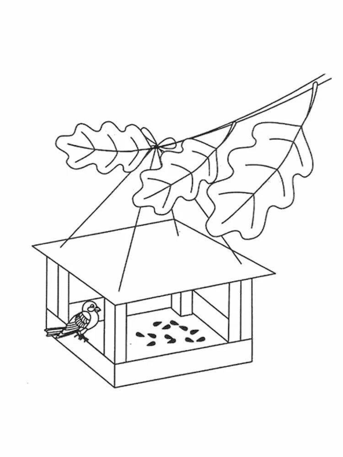 Gorgeous bird feeder coloring book for kids in winter