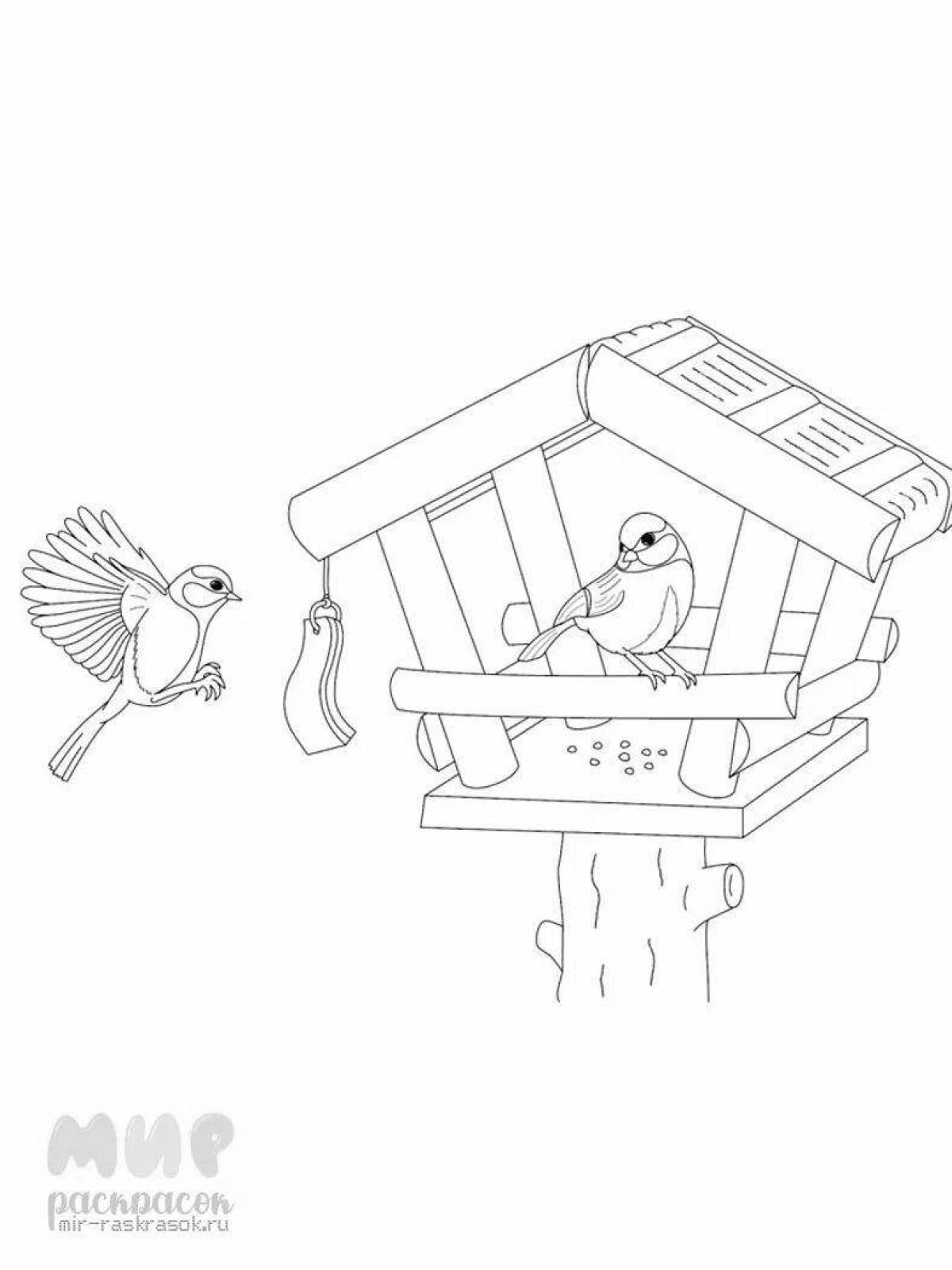 Cute bird feeder coloring pages for kids in winter