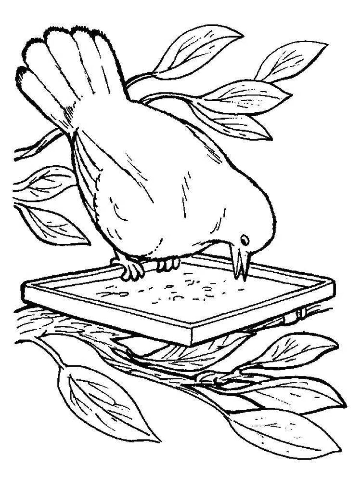 Exquisite bird feeder coloring book for kids in winter