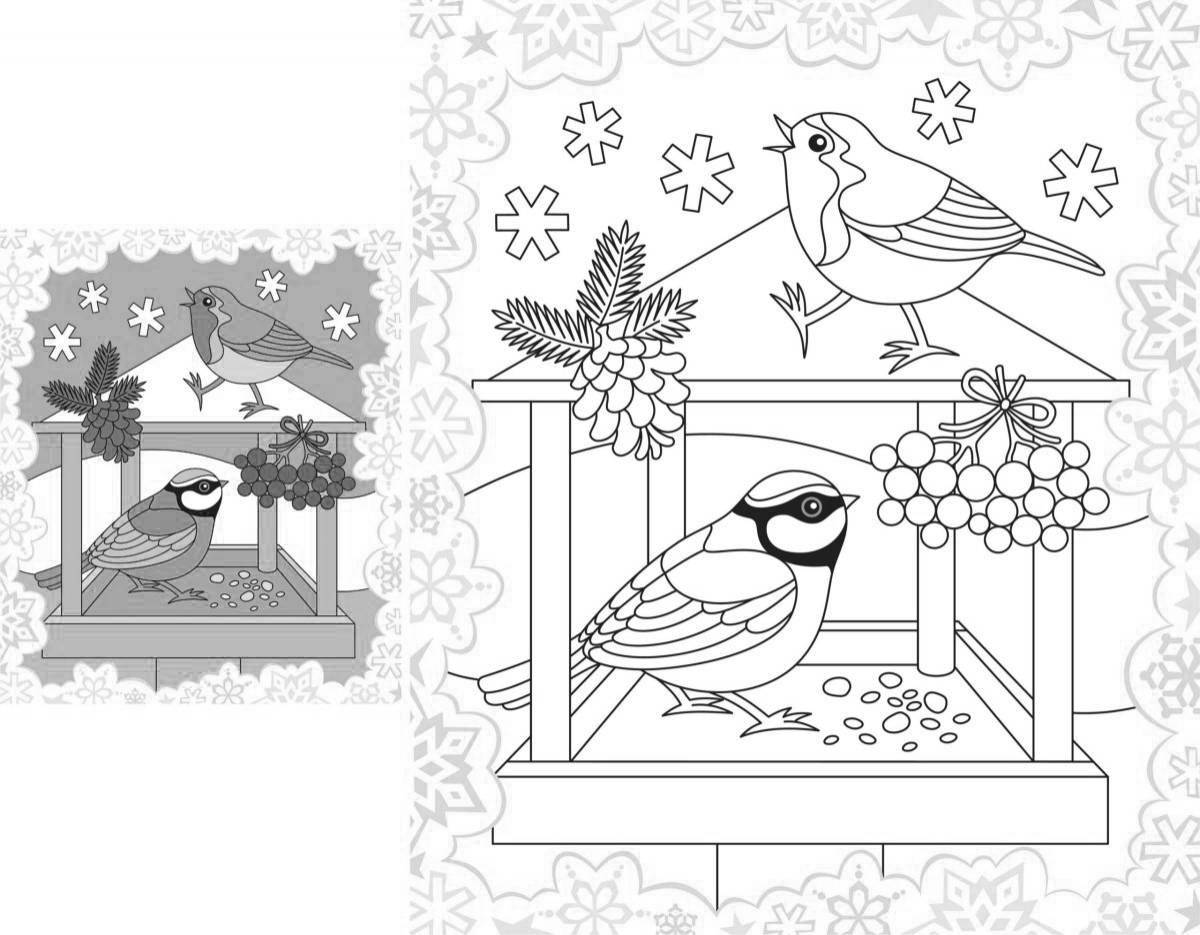 Раскраска Птицы в кормушке | Раскраски времена года - зима. Зимние раскраски, раскраска зима