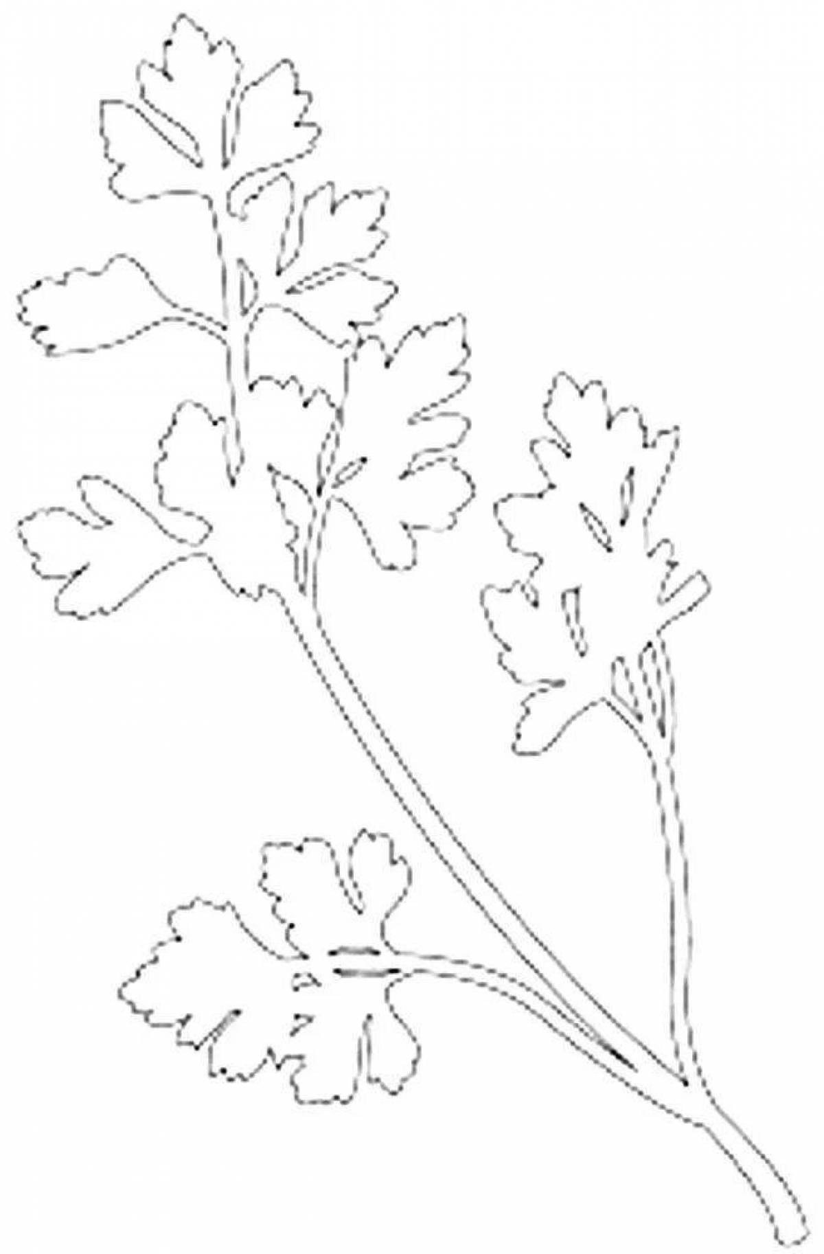 Exciting parsley coloring book for kids