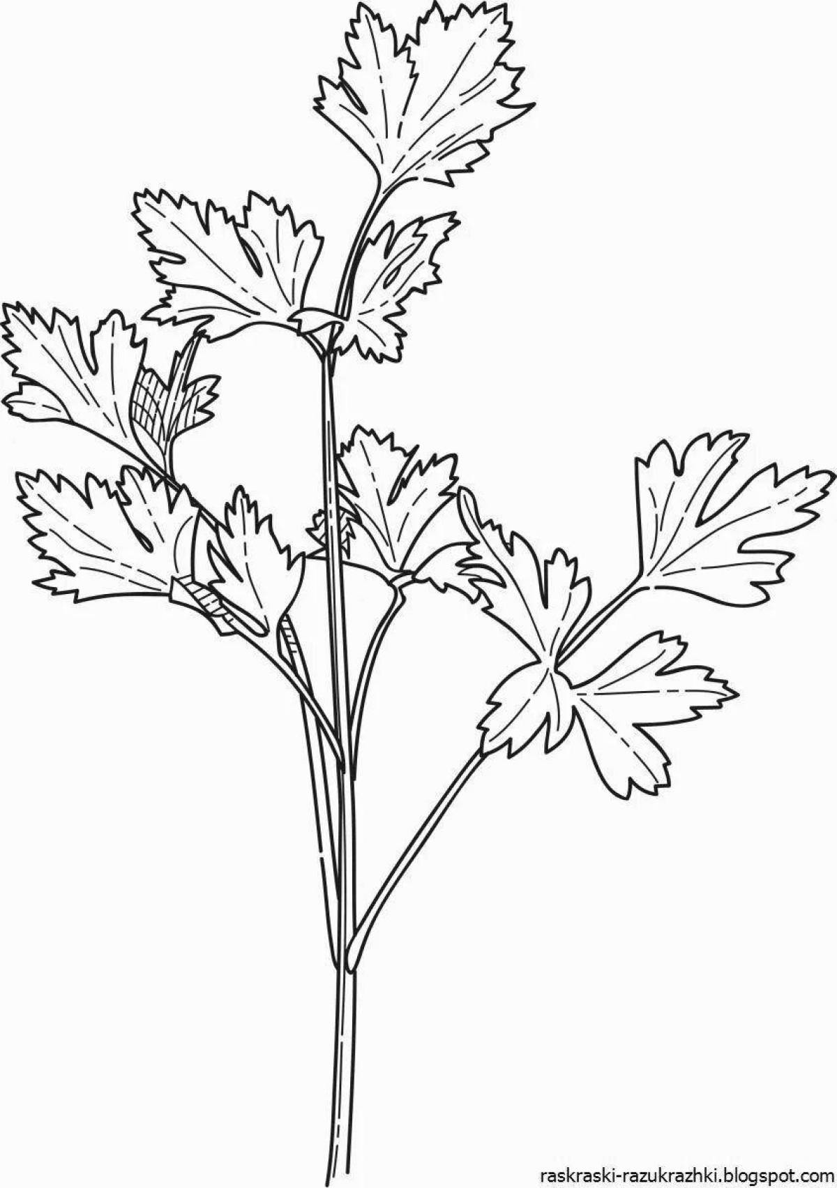 Coloring pages with kind parsley for kids and teens