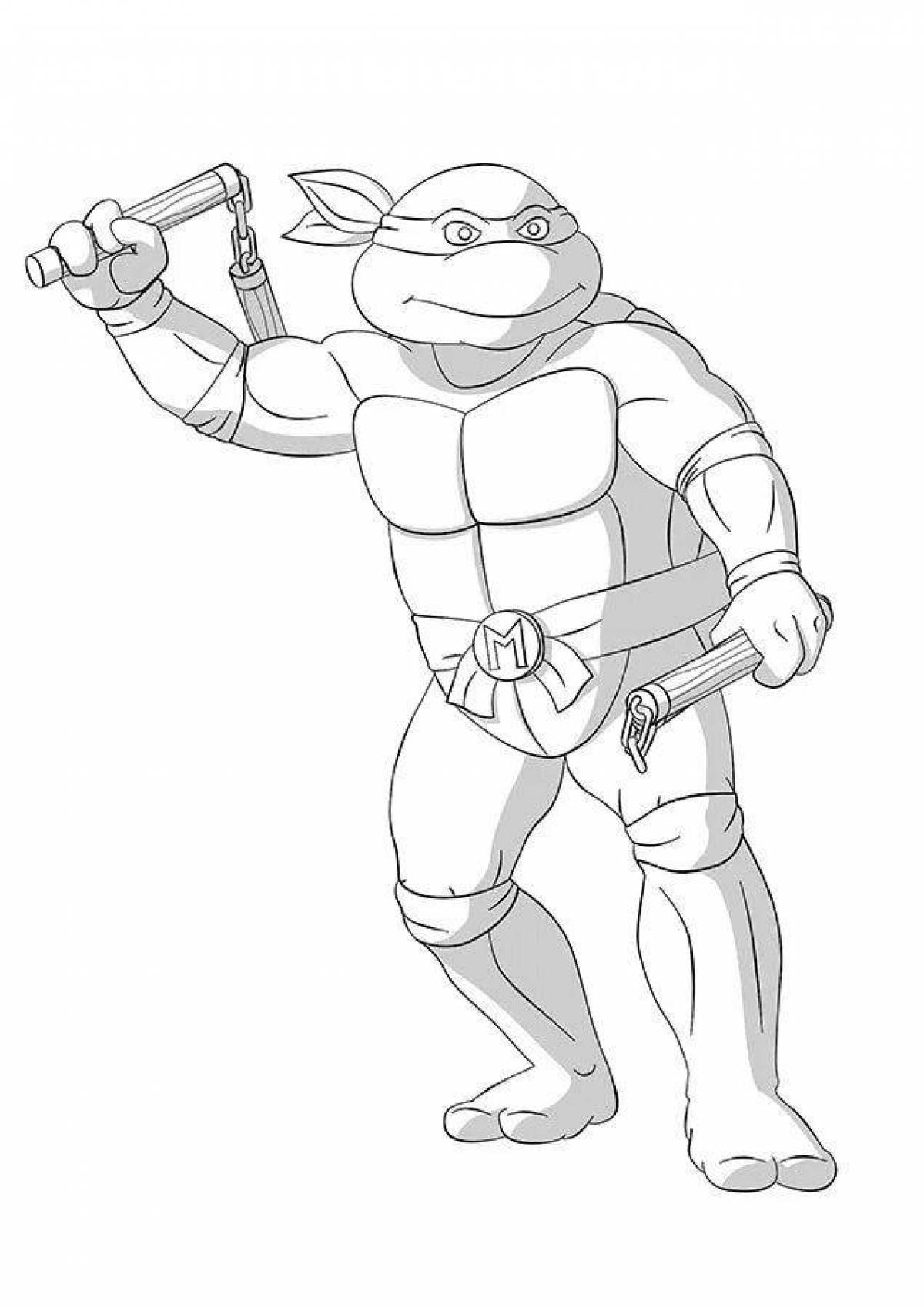 Michelangelo's amazing Teenage Mutant Ninja Turtles