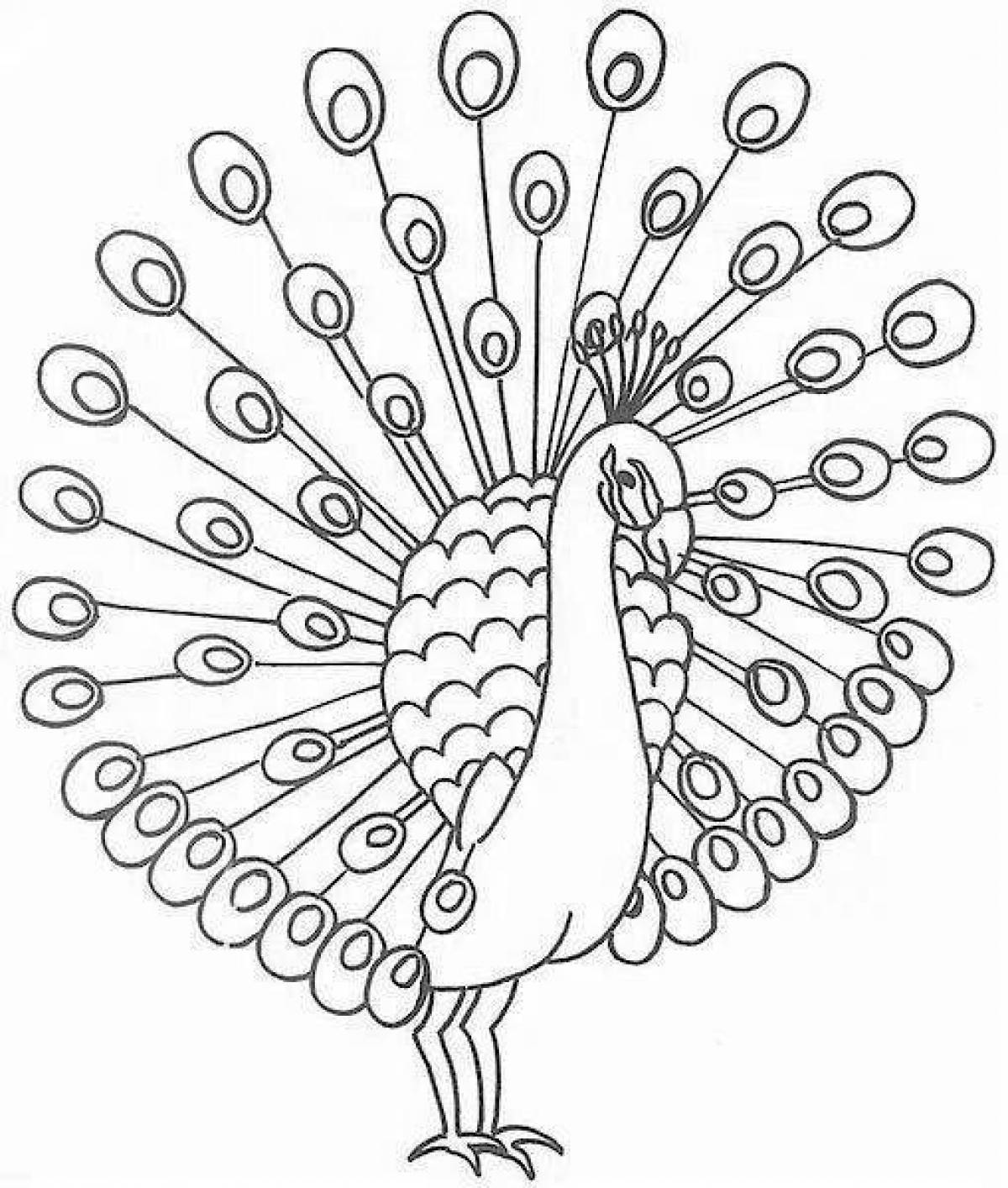 Awesome peacock coloring page with loose tail