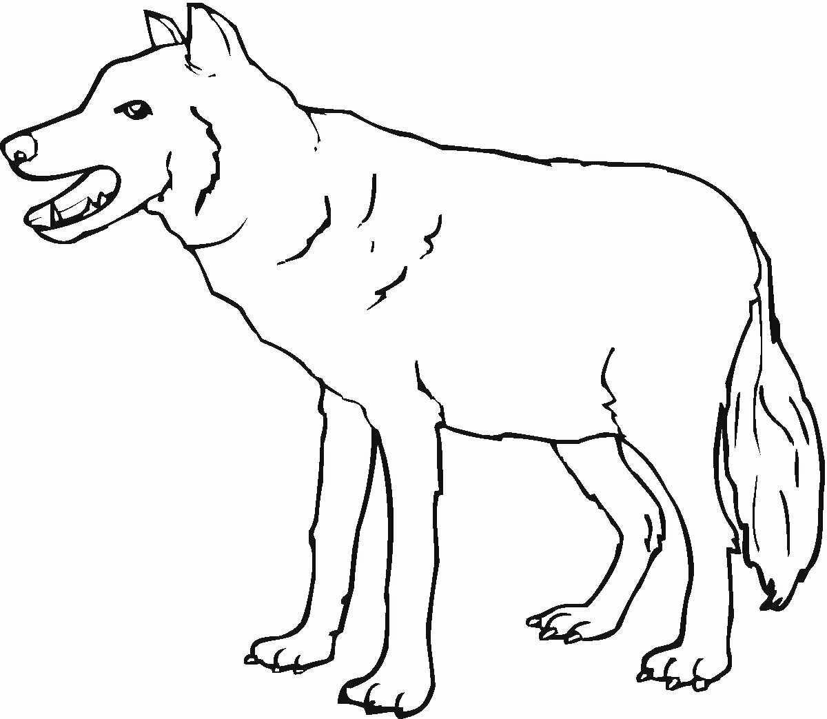 Экзотическая раскраска волк для детей 3-4 лет