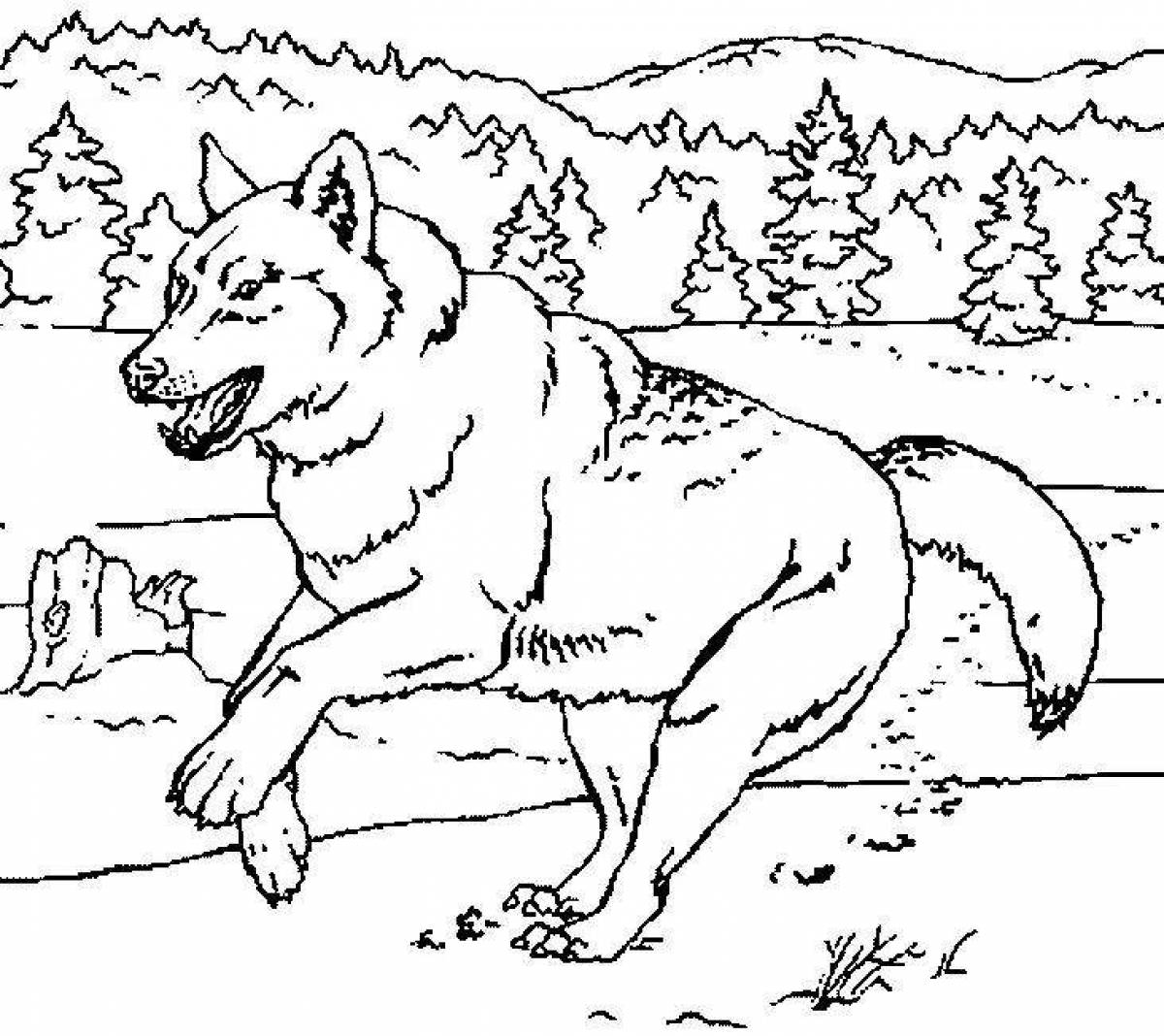 Замечательная раскраска волк для детей 3-4 лет