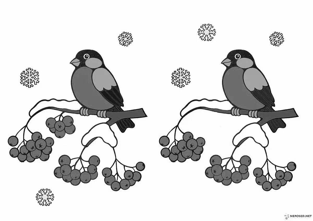 A playful bullfinch coloring page for little kids