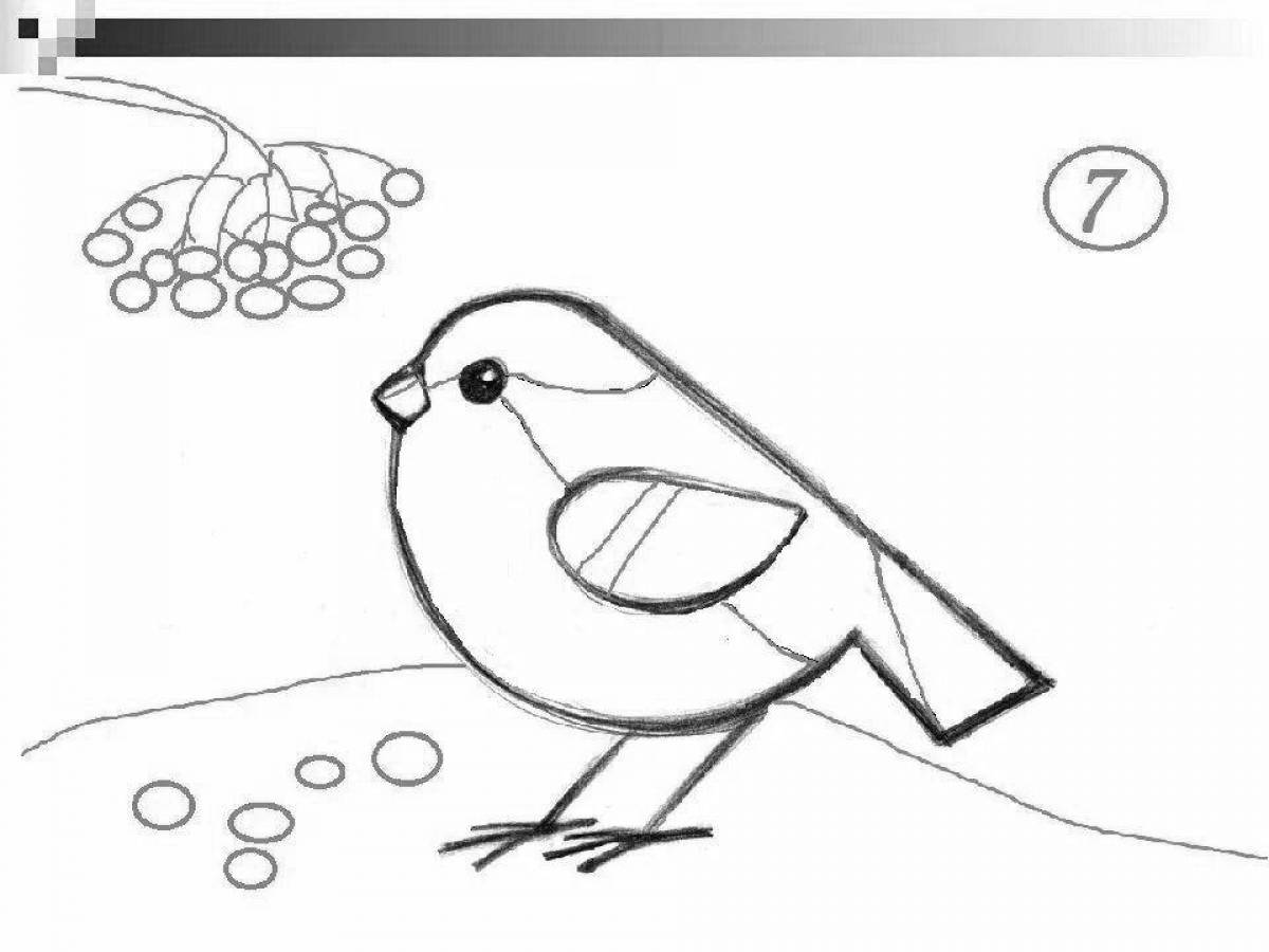 Cute bullfinch coloring for 2-3 year olds