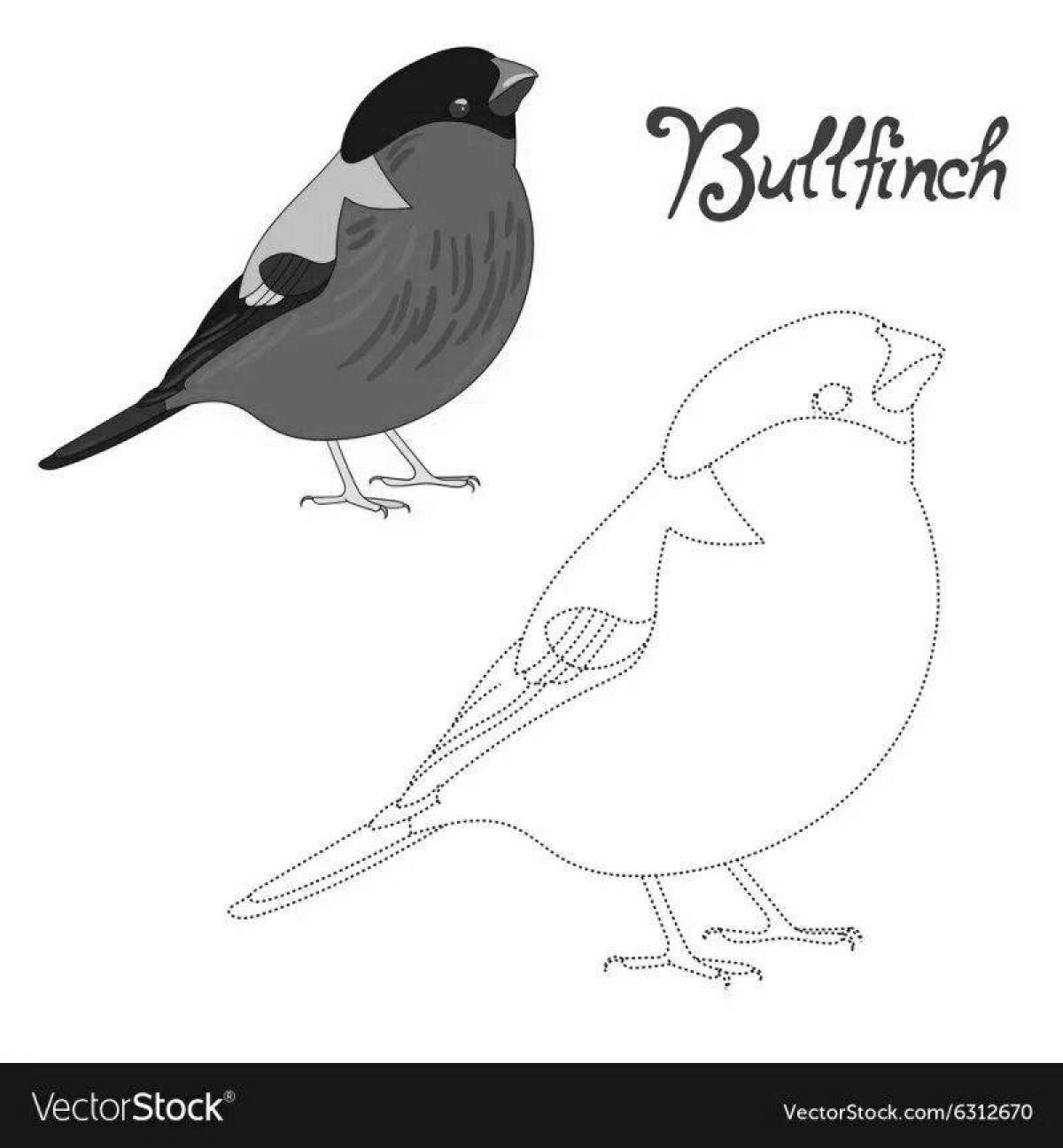 Showy bullfinch coloring for little kids