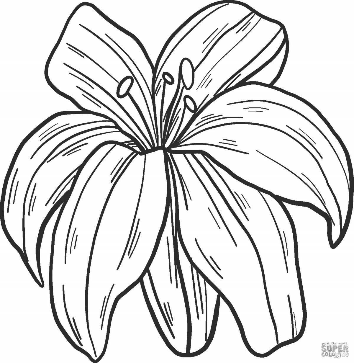 Adorable lily coloring pages
